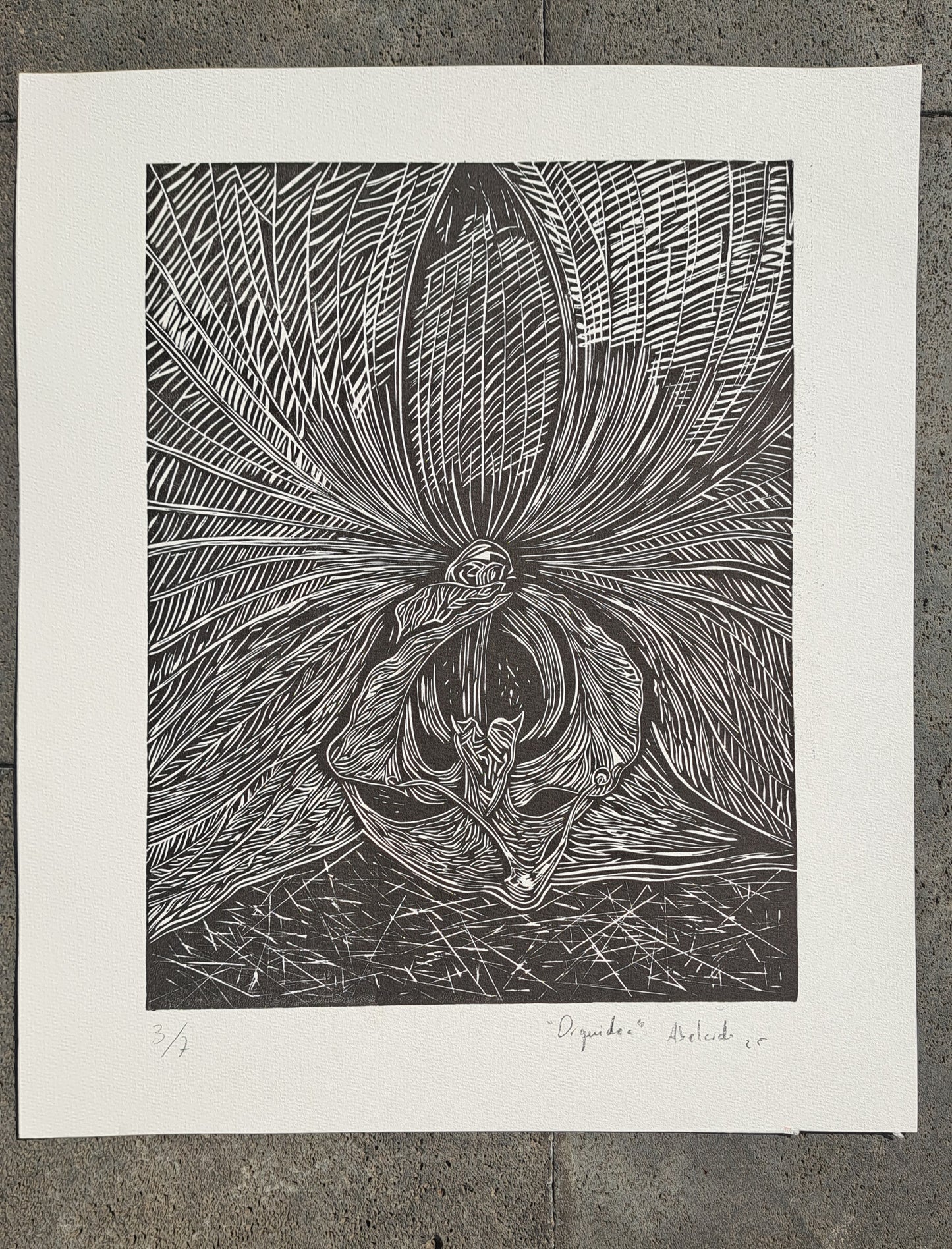 Orquídea (Grabado)