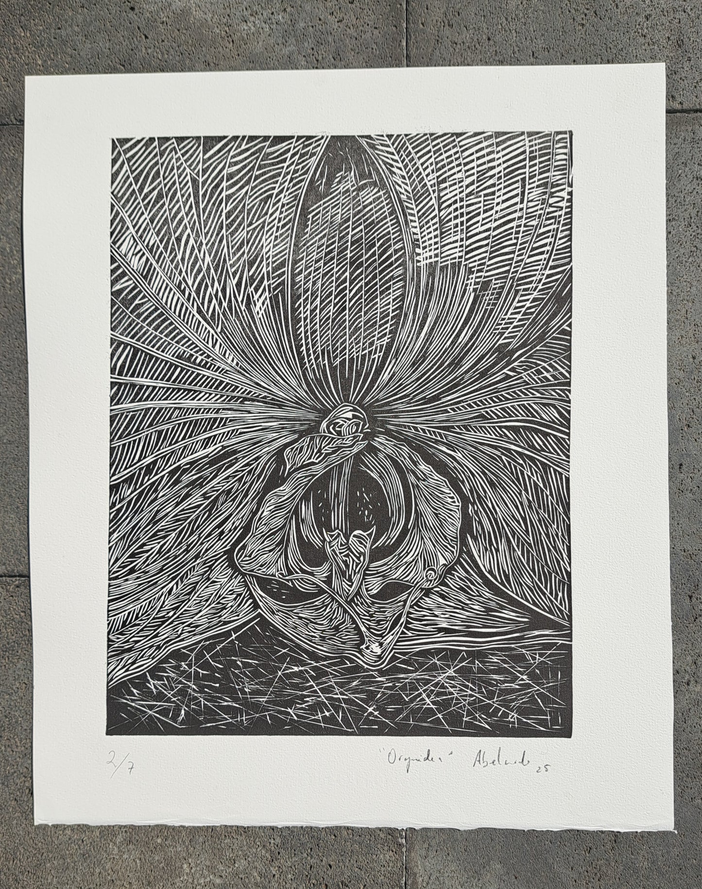 Orquídea (Grabado)