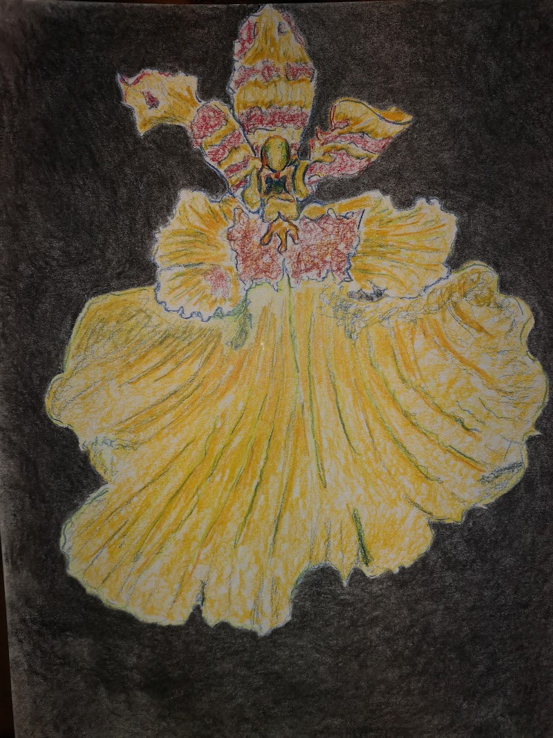 Orquídea (lápices 2020)