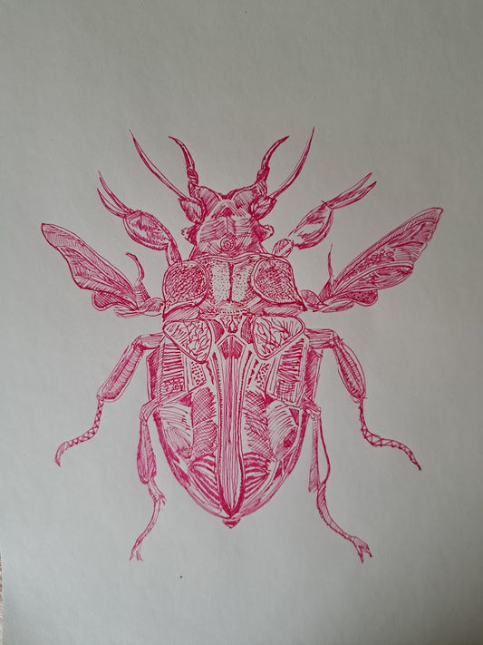 Insecto central