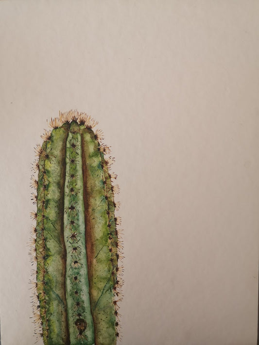 Cactus