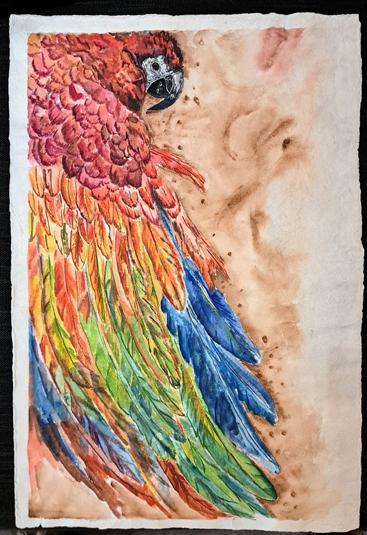 Guacamaya