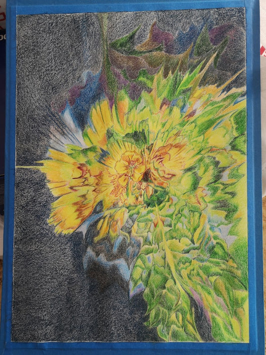 Flores estrelladas