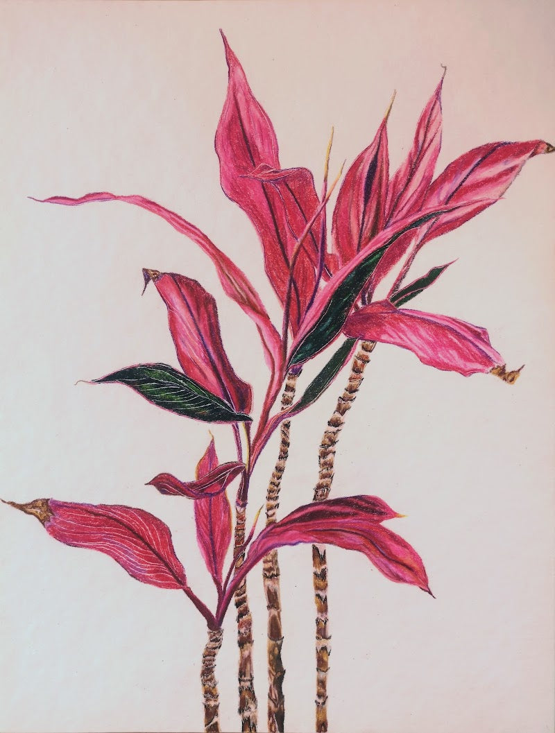 Hojas rosas