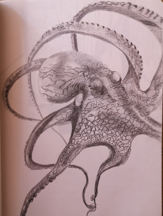Pulpo