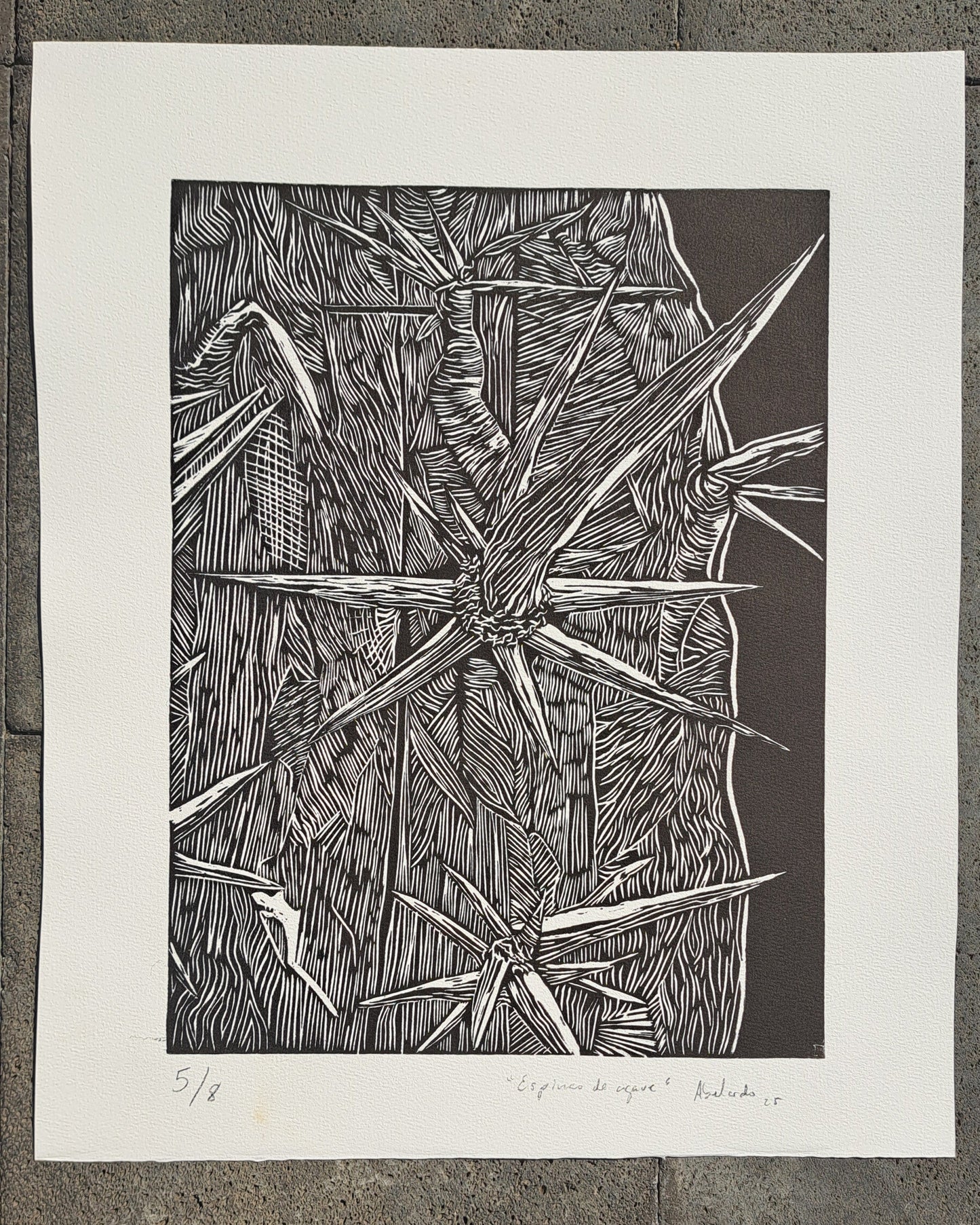 Espina (sin enmarcar) 3