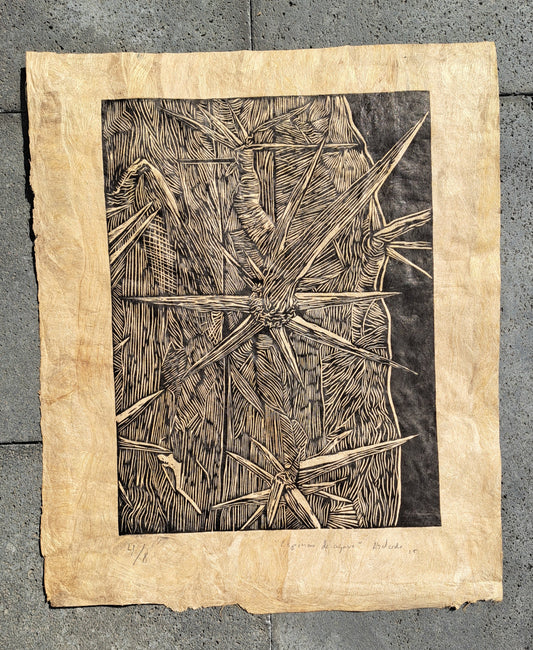 Espina (sin enmarcar) 4