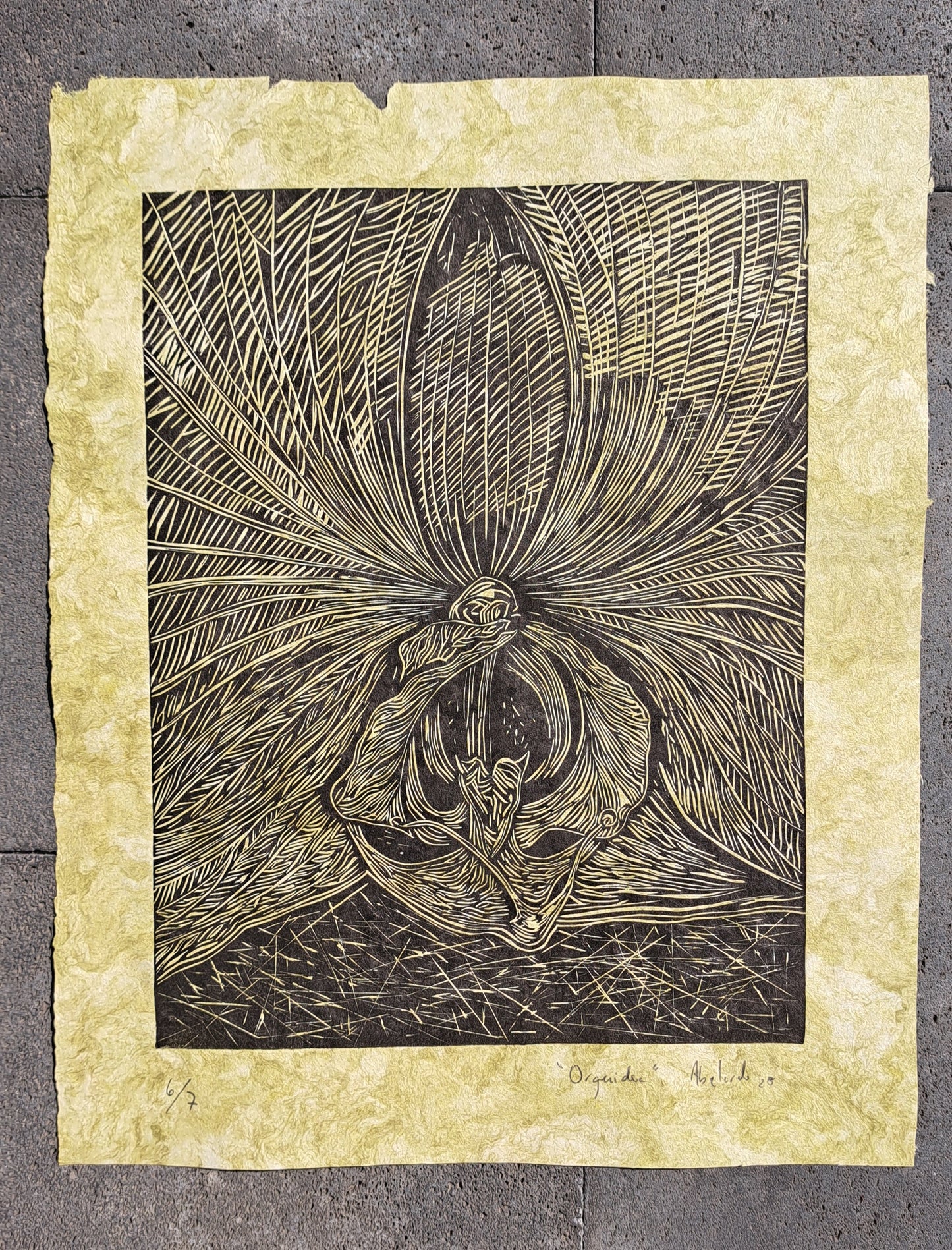 Orquídea (sin enmarcar)