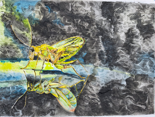 Reflejo del pequeño mundo