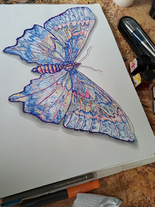 Mariposa azul