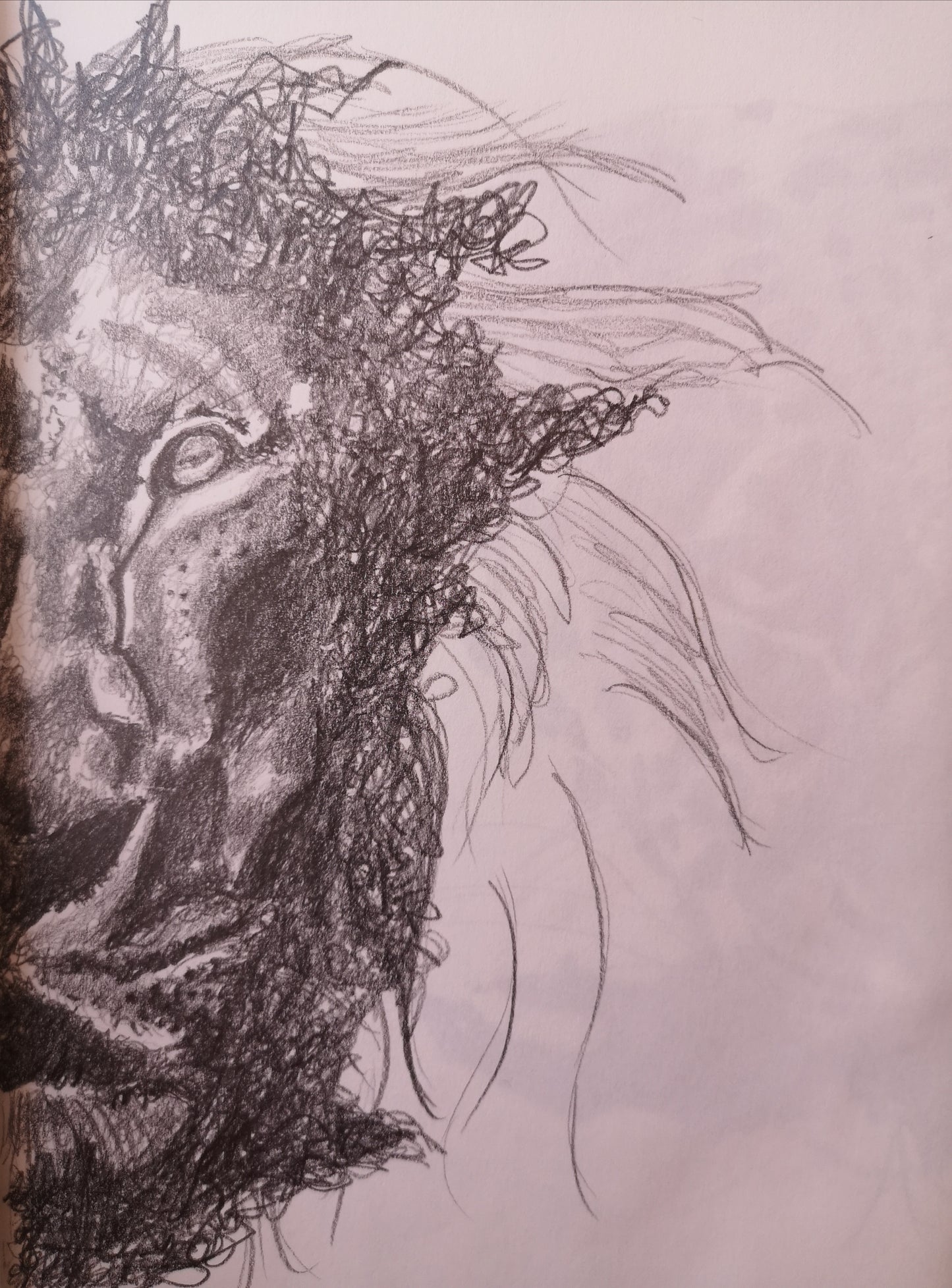 León