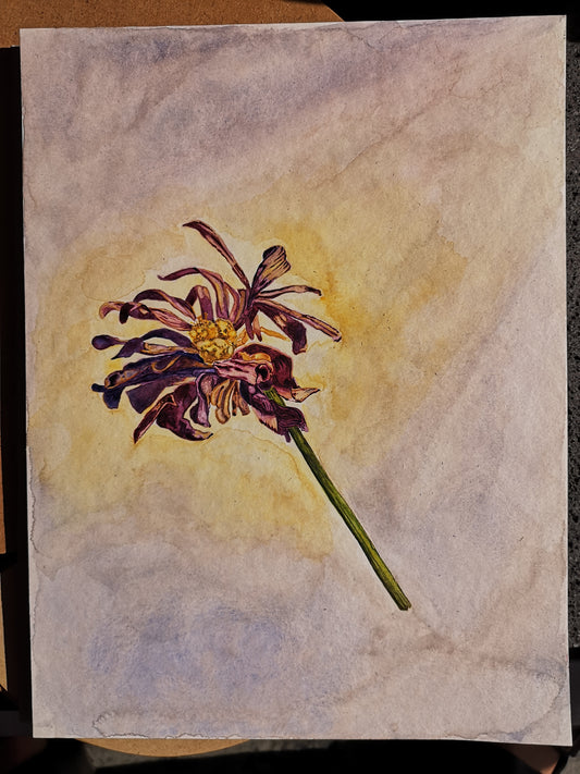 Flor de Nara