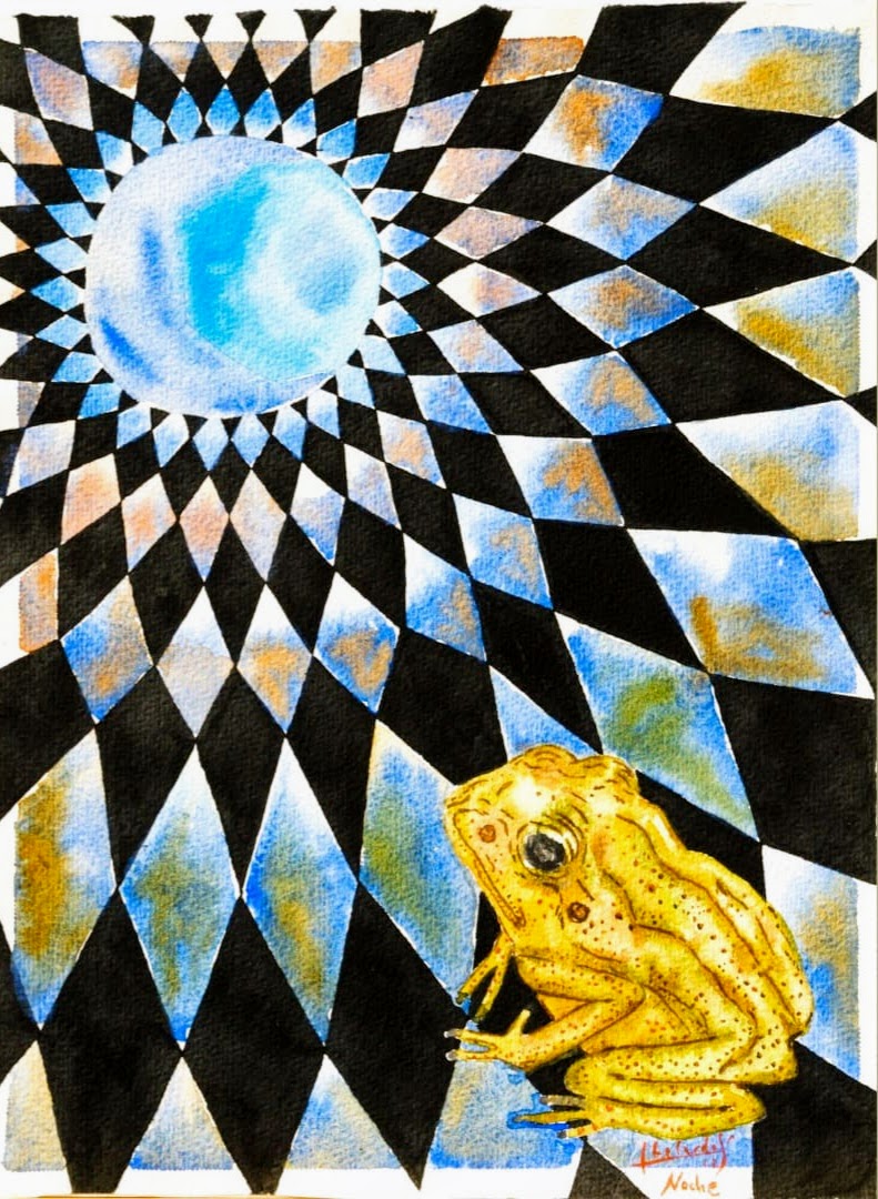 Sapo y la luna