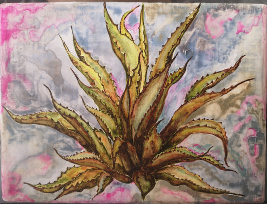 Agave de México
