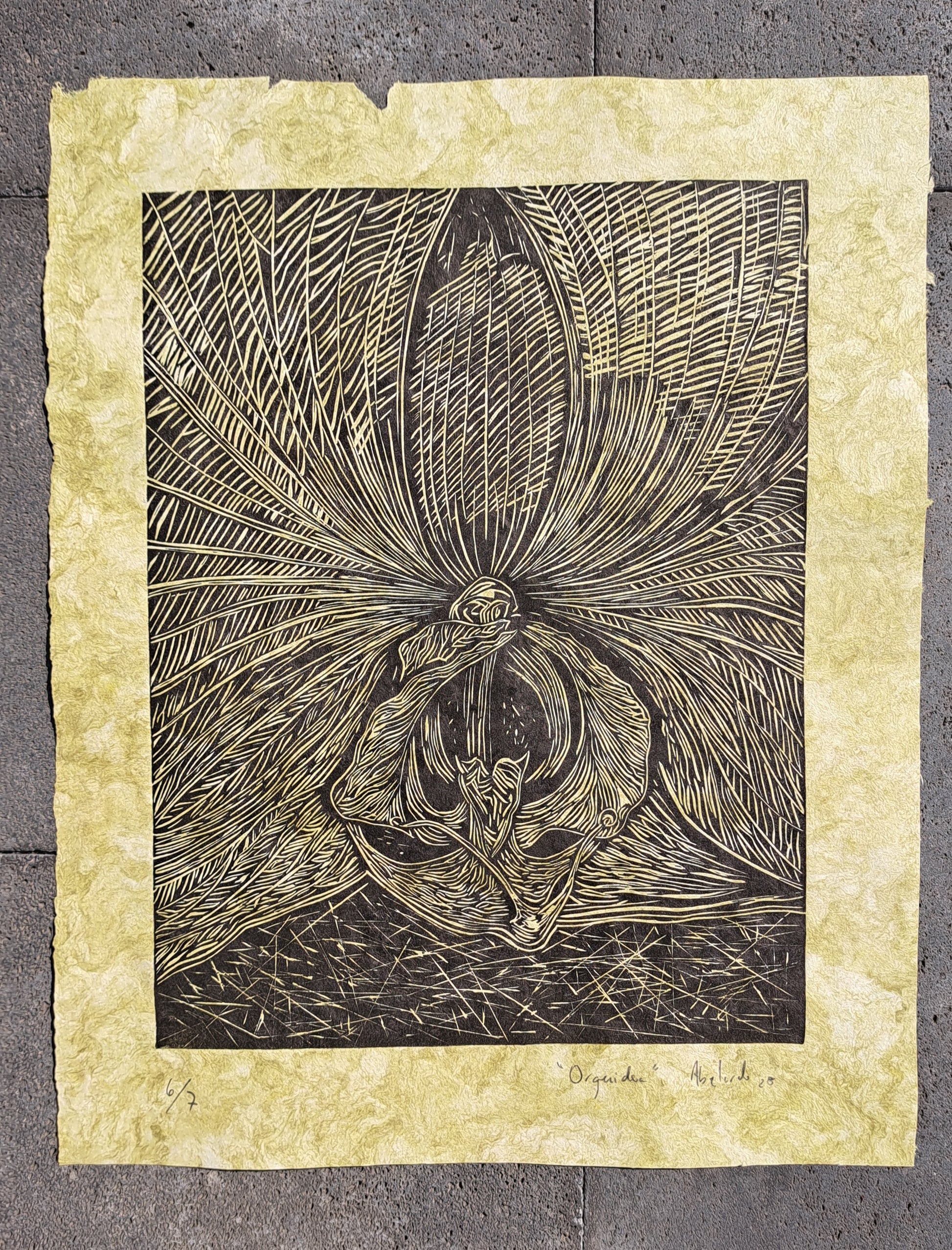 Orquídea (Grabado)