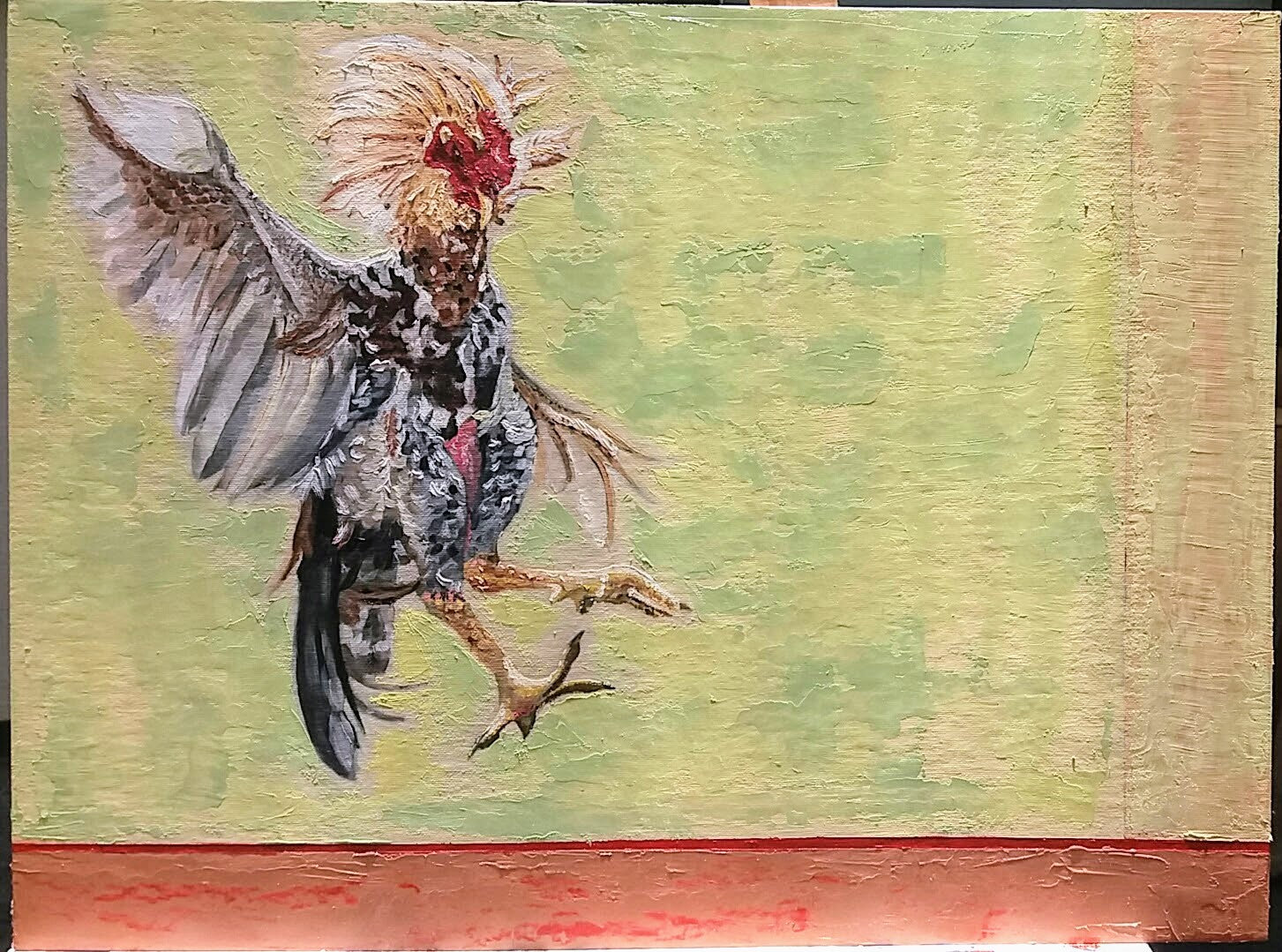 Gallo de pelea
