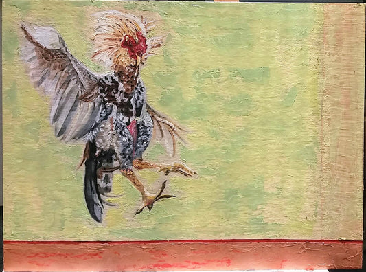 Gallo de pelea