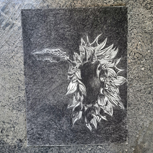 Carboncillo vegetal