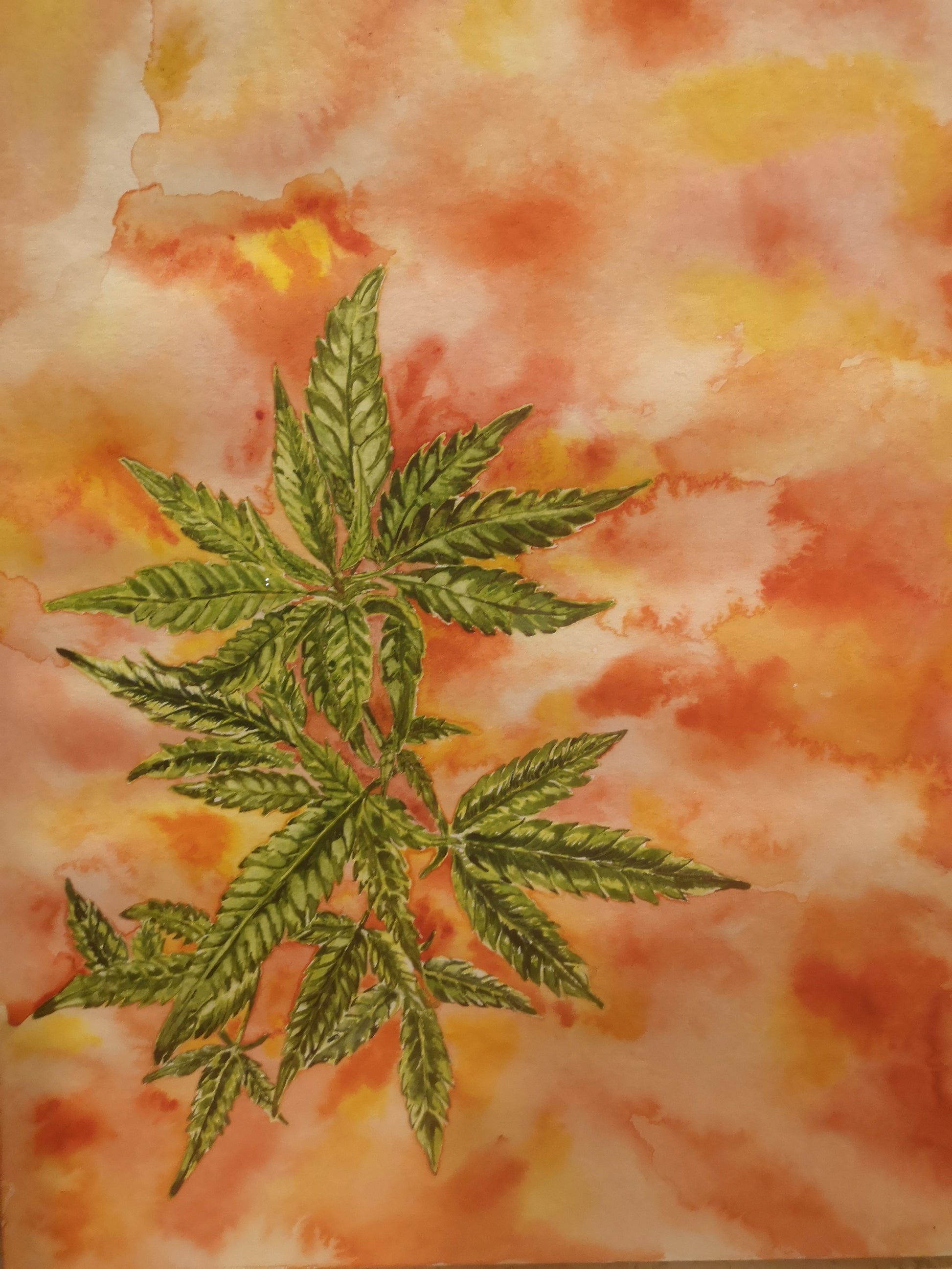 Mariguana 1