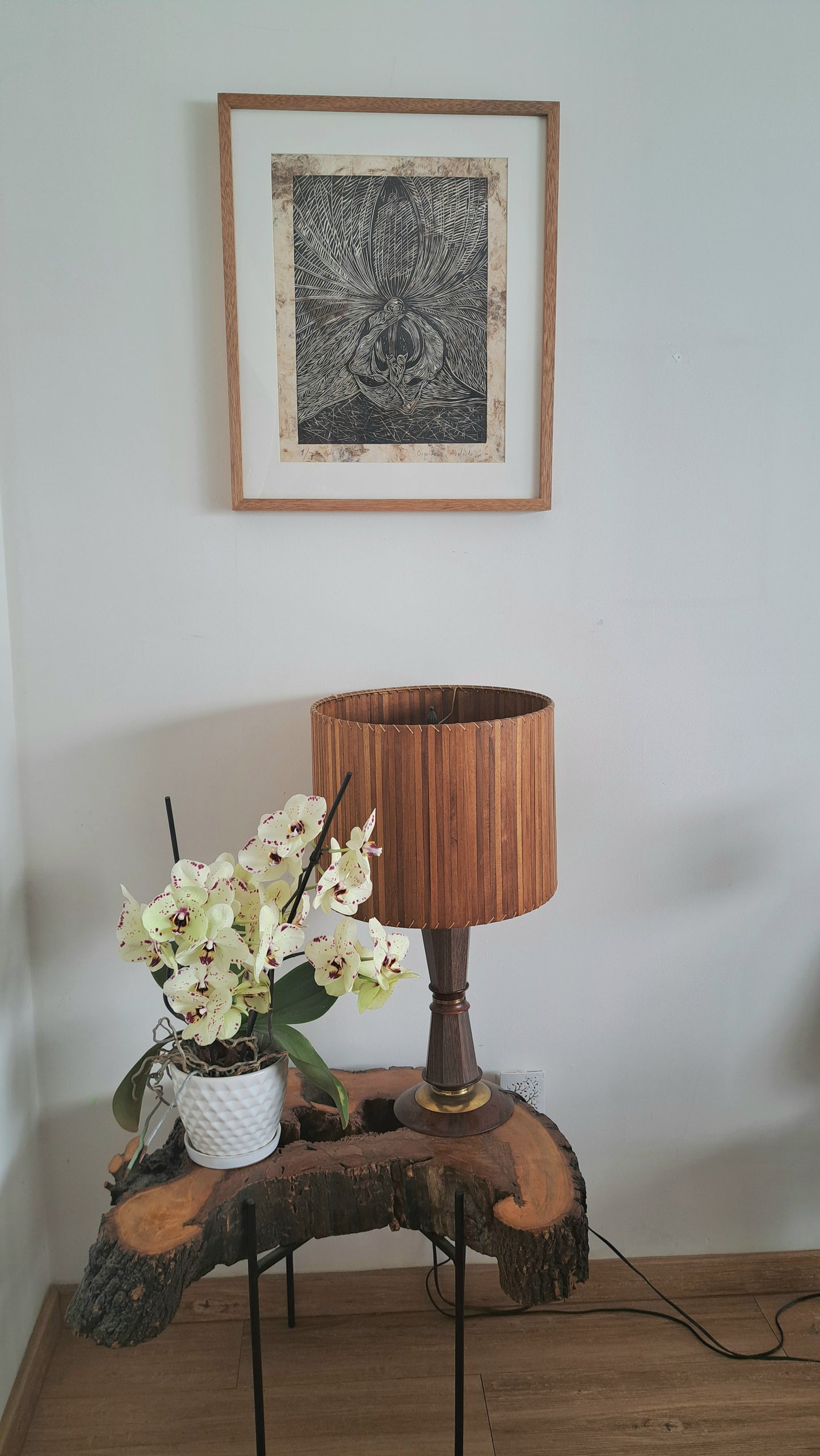 Orquídea